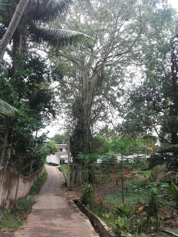 Disna Place Unawatuna Exterior foto